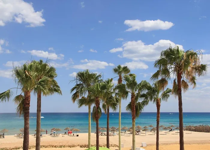La Playa Hotel Club (Adults Only) Hammamet